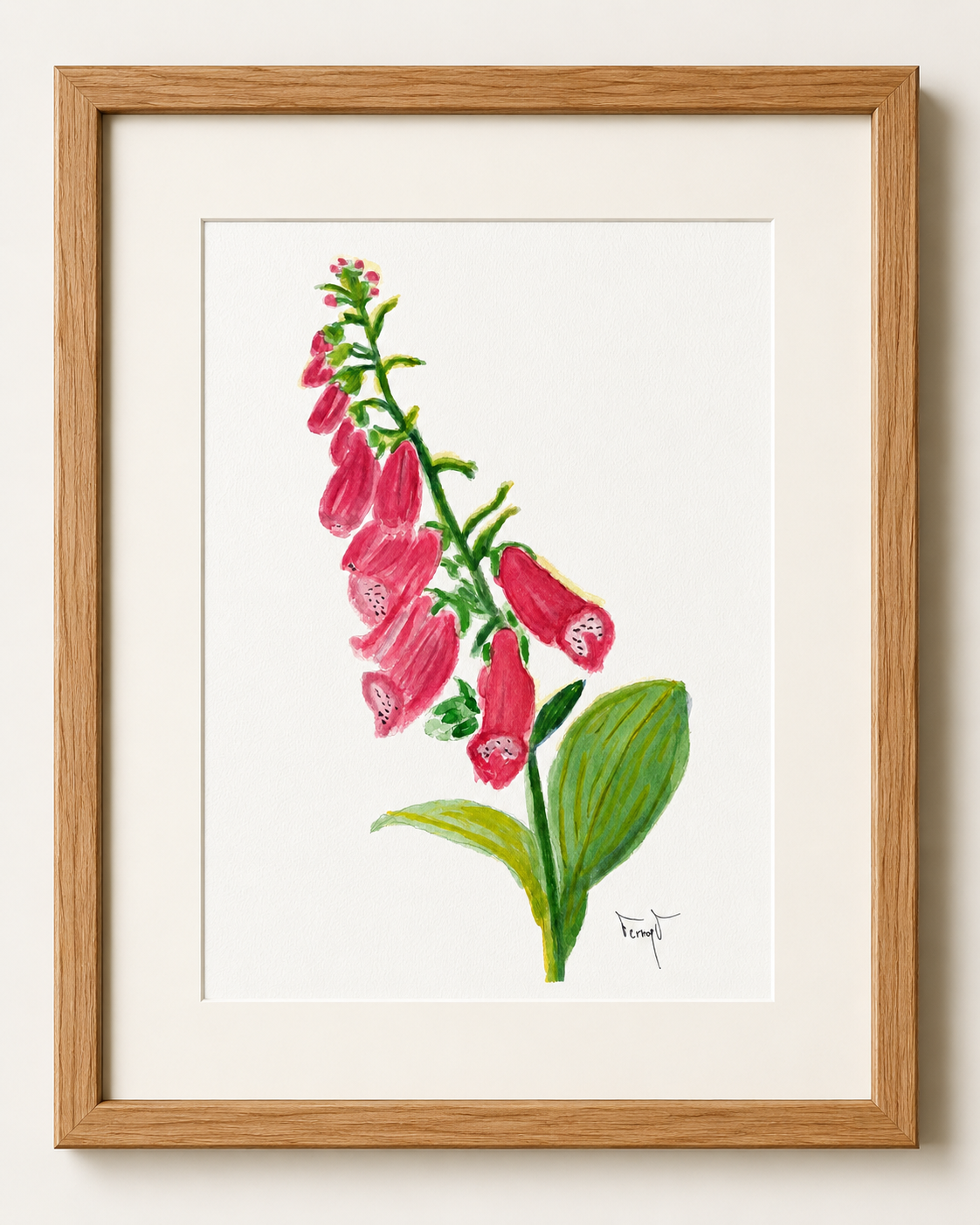 Dibujo enmarcado de una dedalera rosada con hojas verdes