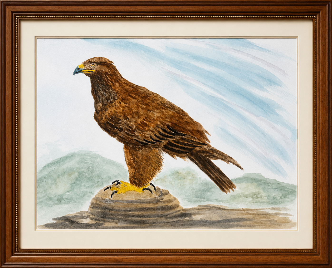 Acuarela de un águila real posada sobre una roca