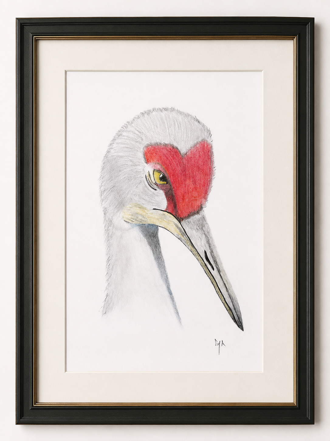 Dibujo enmarcado de una grulla de cabeza roja