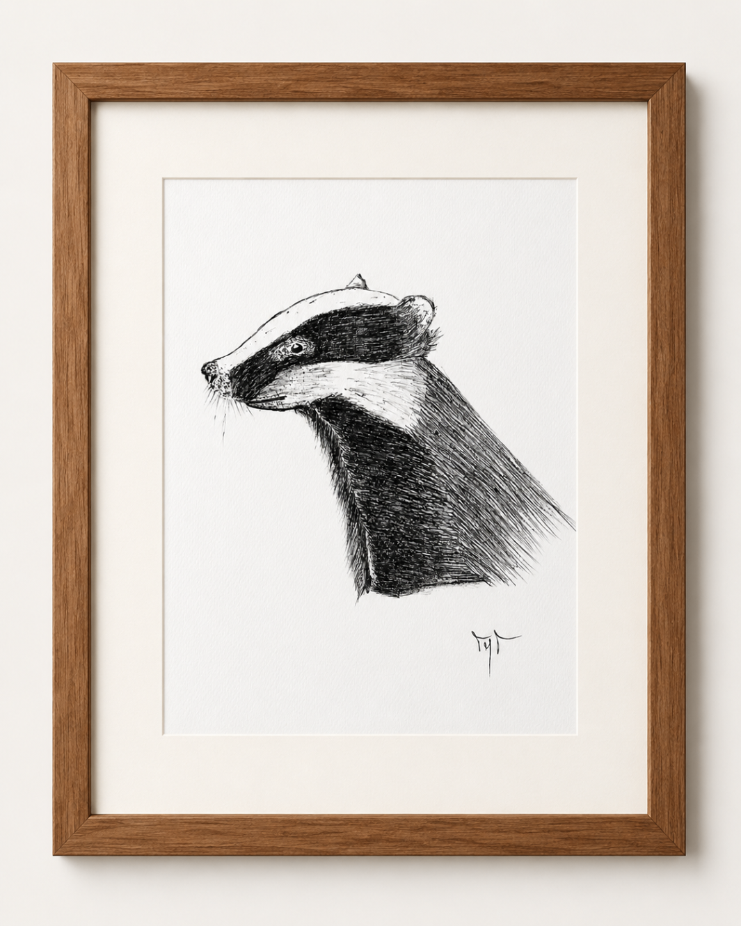 Dibujo enmarcado en tinta de un tejón de perfil sobre papel blanco